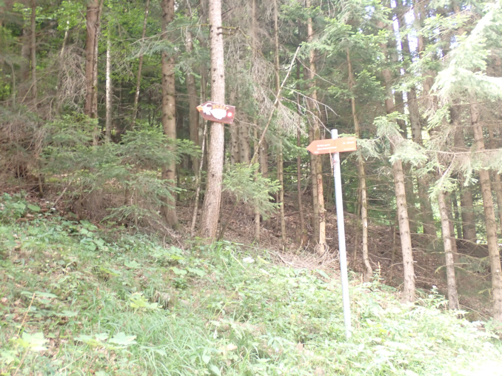 Odcep planinske steze čez Kozji hrbet