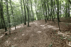 10-kacji-dol