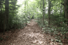 13-male-rodne