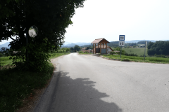 17-topole