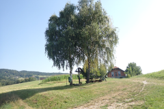 P7310020
